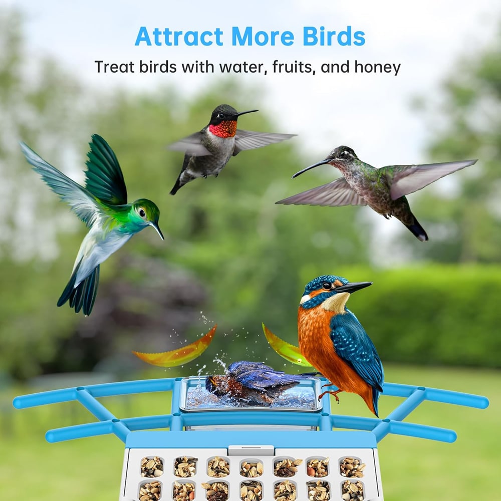 Attract More Birds-Bird feeder Smart