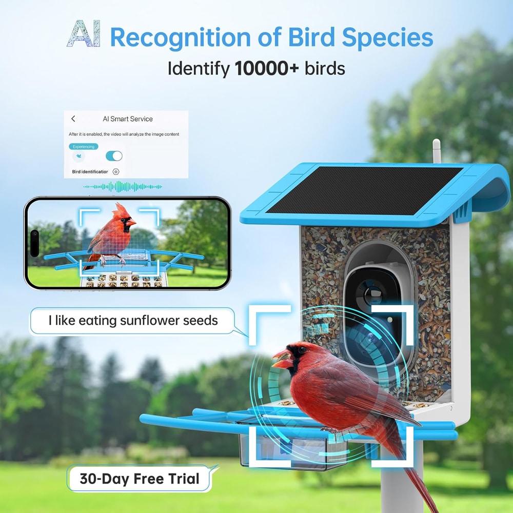 Bird Feeder-Recognition of Bird Species