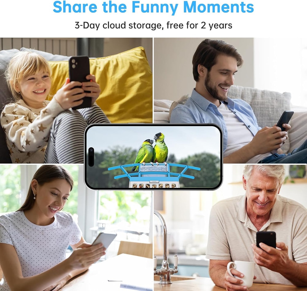 Share the Funny Moments