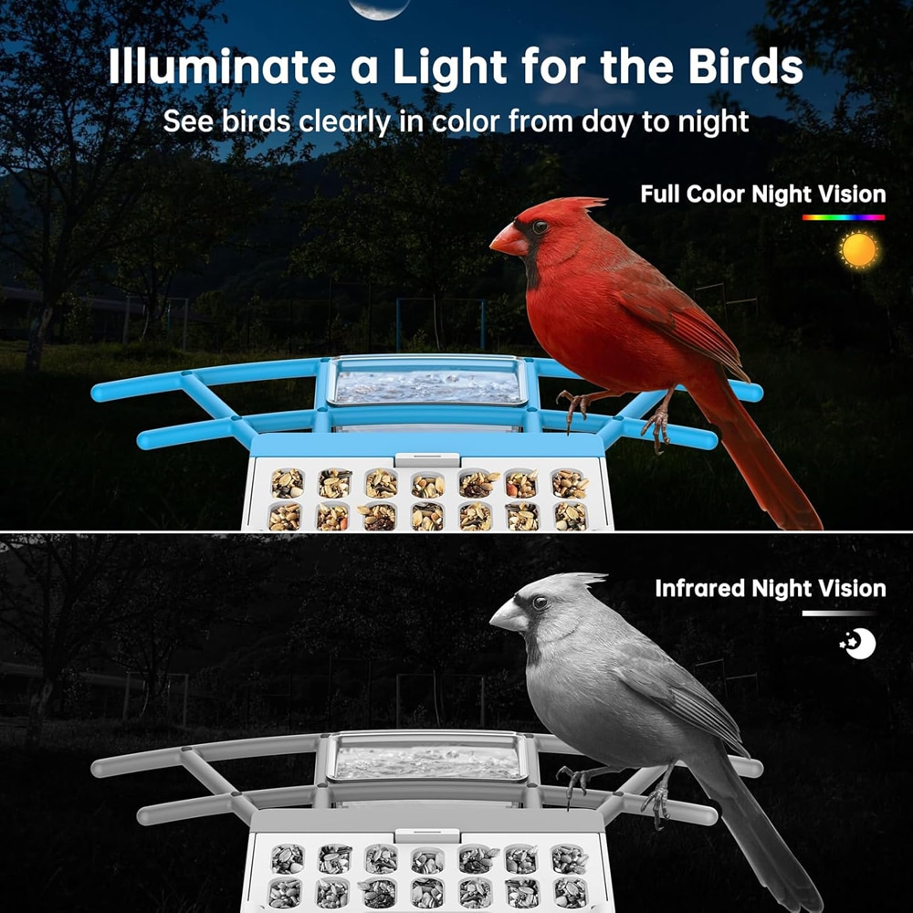 luminate a Light for the Birds